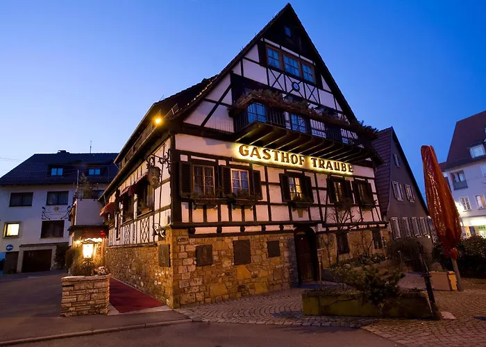 Hotel Traube Naehe Messe Stuttgart